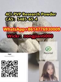 4Cl-PVP Research PowderCAS?5485-65-4 