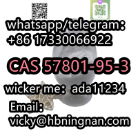 Hot Selling High Purity Flubrotizolam CAS57801-95-3