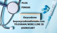 Buy Oxycodone Online TELEGRAM ID @SINOCART whatsapp (+1 681 441-2459) 