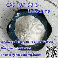 Factory Supply Hot Sell in Europe Lidocaine CAS 137-58-6 