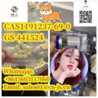 cat medicine CAS1191237-69-0 GS 441524