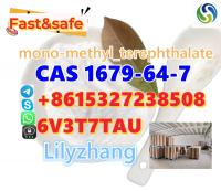 High Quality Mono-Methyl Terephthalate CAS 1679-64-7 From China Supplier