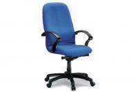 Ergonomic Fabric Chair LM502AKG