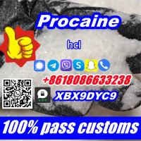 Procaine buy Procaine hydrochloride Procaine base powder Procain Procaina HCI