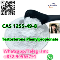 Hot Sale CAS 1255-49-8 Testosterone Phenylpropionate high quality with Safe Delivery