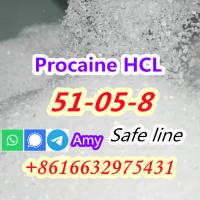 CAS 51-05-8 Procaine hydrochloride HCI buy Stock powder