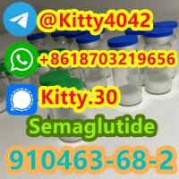 Semaglutide CAS 910463-68-2