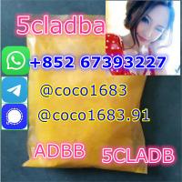 5c 5cl 5cladba Eu synthetic method