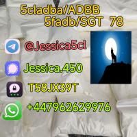 Supplier 5cl-adb 5CLADB 5CL 5cl Adb Raw Materials Low Price Best Effect In Stock