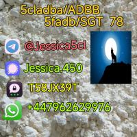 5F-ADB ADBB 5cladb precursor A-PVP 5cl rwa materials Shipping Yellow powder.pdf