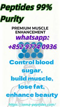 Samaglutide?Tirzepatide?Retatrutide 99% pure peptide beauty fat loss and muscle gain factory direct supply, in stock, low price, free sample