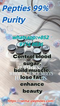 Samaglutide?Tirzepatide?Retatrutide 99% pure peptide beauty fat loss and muscle gain factory direct supply, in stock, low price, free sample