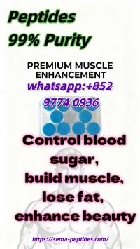 Samaglutide?Tirzepatide?Retatrutide 99% pure peptide beauty fat loss and muscle gain factory direct supply, in stock, low price, free sample