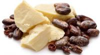 supplier of shea butter and cocoa butter in morocco