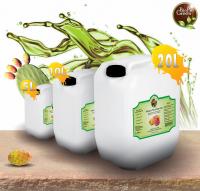 The Marvel of Moroccan Prickly Pear Seed Oil